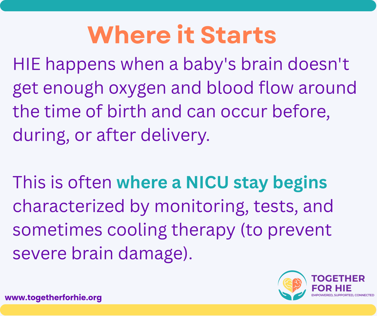 T4HIE's tweet photo. Navigating a NICU stay after a Hypoxic-Ischemic Encephalopathy (HIE) diagnosis can feel completely overwhelming. Swipe to learn more on what you can ask the NICU care team as you advocate for your child.

#NICUAwareness #NICU #NICUJourney #HIE #TogetherForHIE #HIEAwareness https://t.co/lb2PhbA2nu