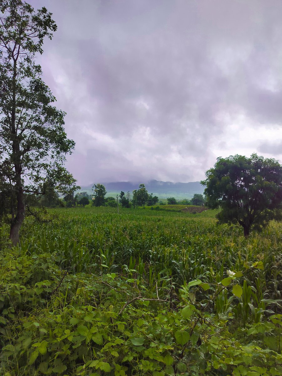 coderabhiram's tweet photo. #nature #rain #rainclouds #clouds #mountains #roadtrip #travel #greenary #weekend #trees #dream #green #mountaintrip https://t.co/9X6k2Dg9pY