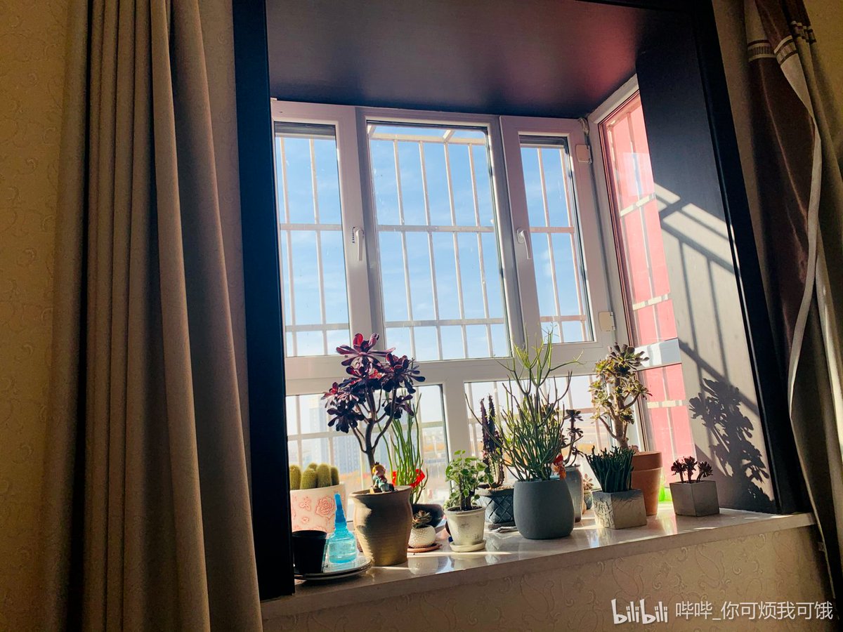 x001300's tweet photo. 窝在沙发啃冰棒追老剧，傍晚的风裹着栀子花香飘进来，这才是周末该有的样子～ https://t.co/InFjAfHF7E