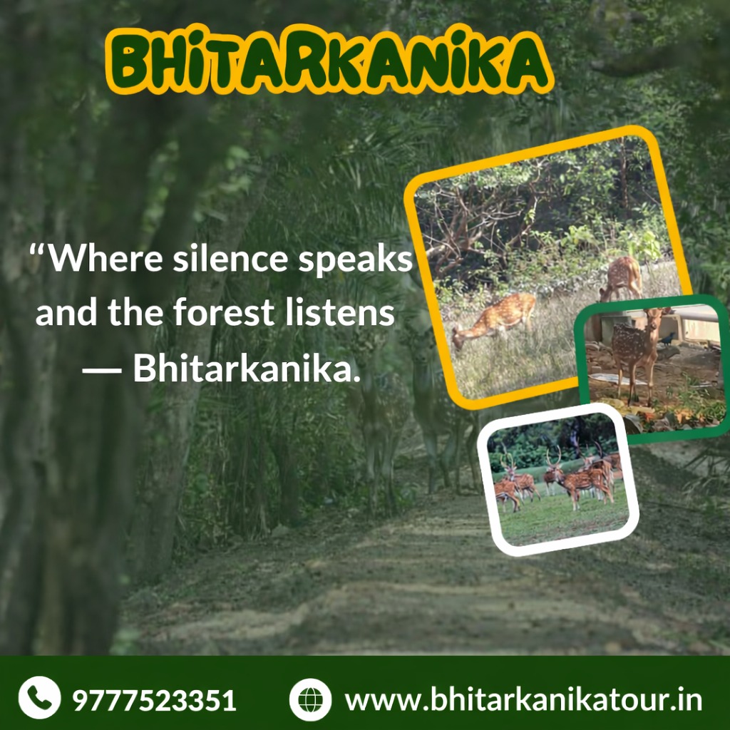 e_nano1's tweet photo. Where silence speaks and the forest listens — Bhitarkanika. Mangroves, crocodiles, Olive Ridley turtles, kingfishers, migratory birds, seafood, and wild encounters await. https://t.co/Vn3KNY79tY