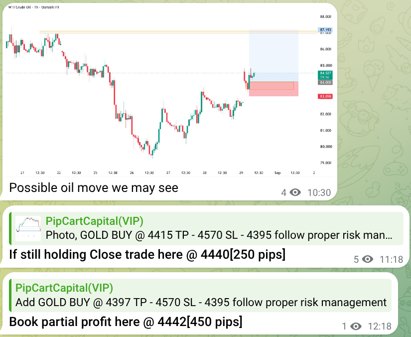 Pipcartcapital's tweet photo. Here we have started our week & Monday, +500 pips secured ✅
#Gold #xauusd #comex #commodities #TradingProfits https://t.co/SHork2OTKe