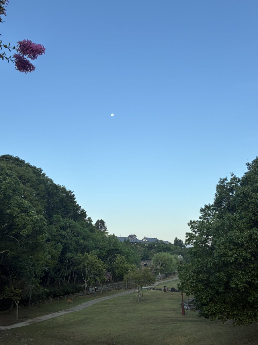 rinrantea's tweet photo. https://t.co/KRy2V09VzD