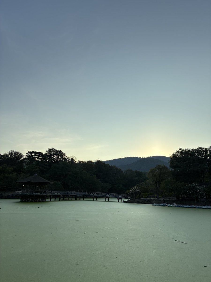 rinrantea's tweet photo. https://t.co/BH9Otsj258