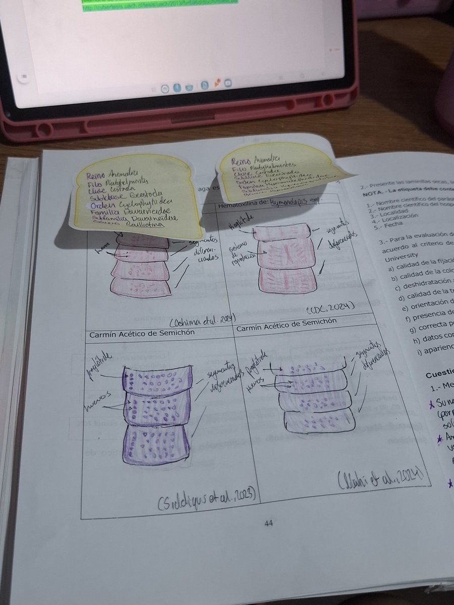 bacillusubtlis's tweet photo. 🎀 | 300826 #studylog 
Puedo sentir mis neuronas freirse en mi sistema nervioso.... https://t.co/C6L5PAW2DZ