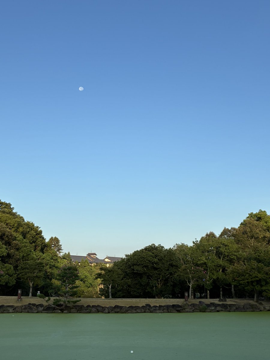 rinrantea's tweet photo. https://t.co/OfTRUwIH4x