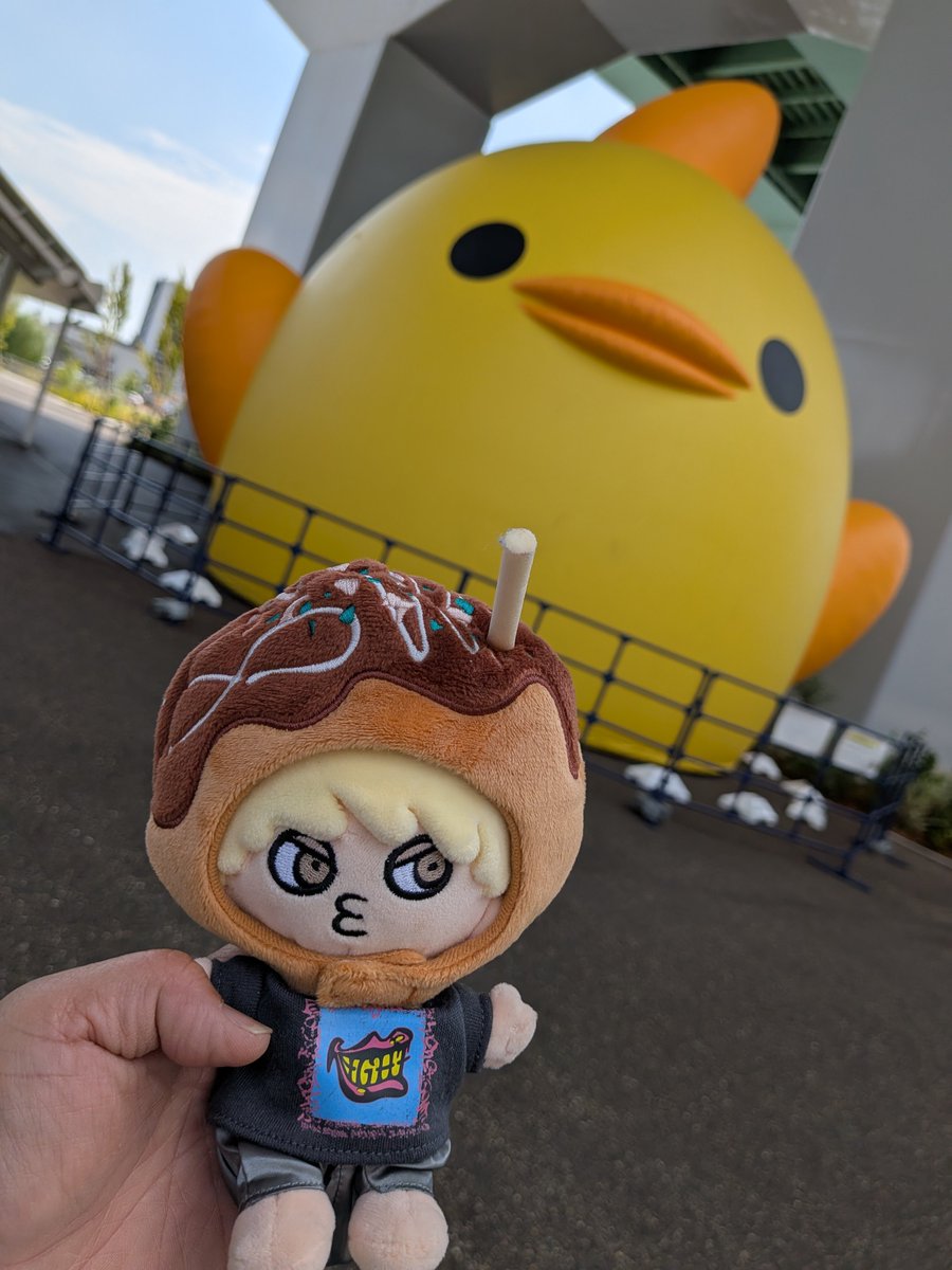 Chako196641's tweet photo. 本日、参戦。
とりあえず近場にいた、ぴよりんとも記念撮影。
今日、猛暑戻ってきましたが
元気もらってきます😍
#RockForYou
#ZeppNagoya https://t.co/4J3coBJjDp
