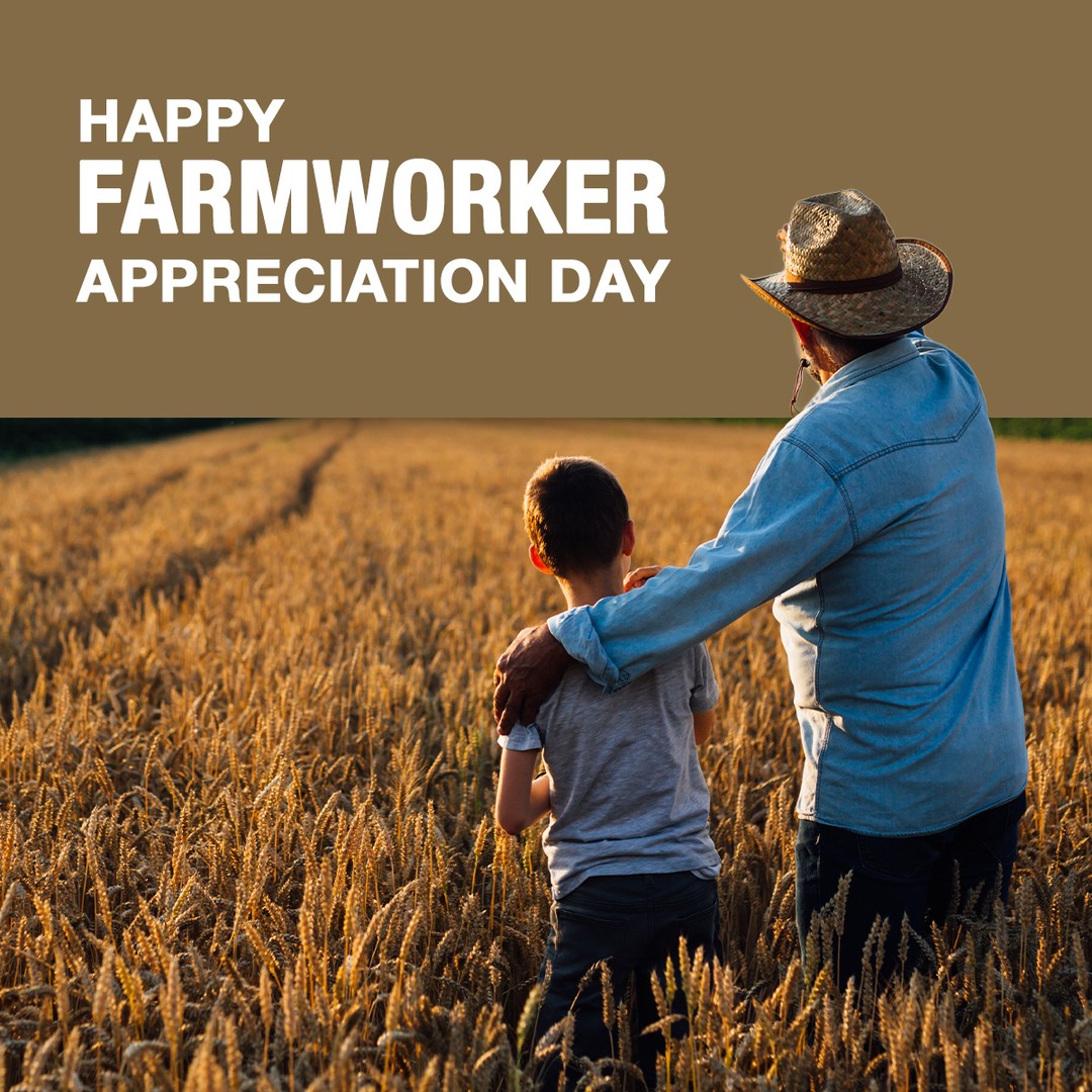 felsefeci19's tweet photo. Before sunrise. After sunset. Still going. Here’s to the people who keep agriculture moving. Happy Farmworker Appreciation Day. https://t.co/1Y65kaiA76