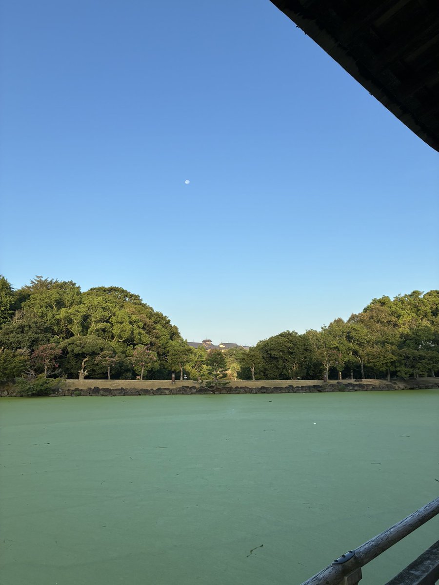 rinrantea's tweet photo. https://t.co/lhN8LSgdKS