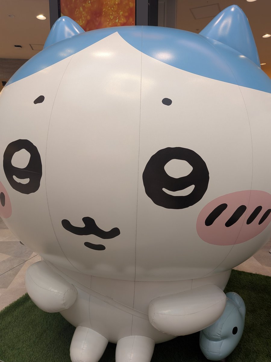 remonehas's tweet photo. ちいかわポップアップストアへ行ってきました😂日曜日の午後の待ち時間は40分ほどでした。大人気ですねぇ！ https://t.co/EmTGg5nEal