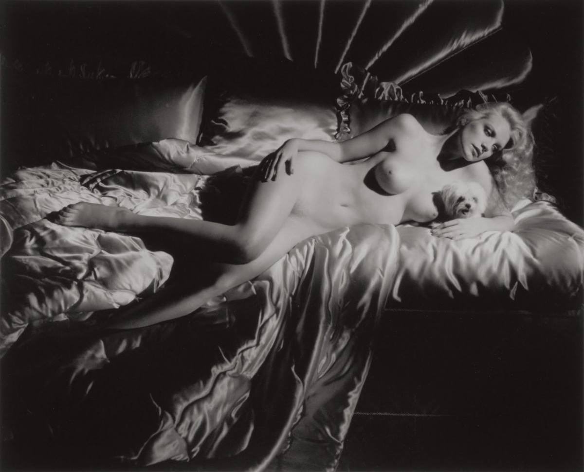 nortypig's tweet photo. Shannon Tweed photographed by George Hurrell for Playboy Italia in February, 1984 https://t.co/HQG7Z3NYyX