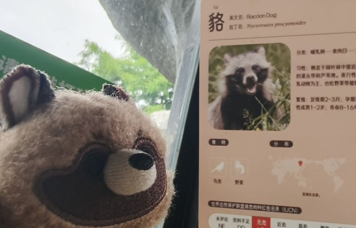 LWOEMEM's tweet photo. 但是展区没有貉了 https://t.co/vre4NIsmL0