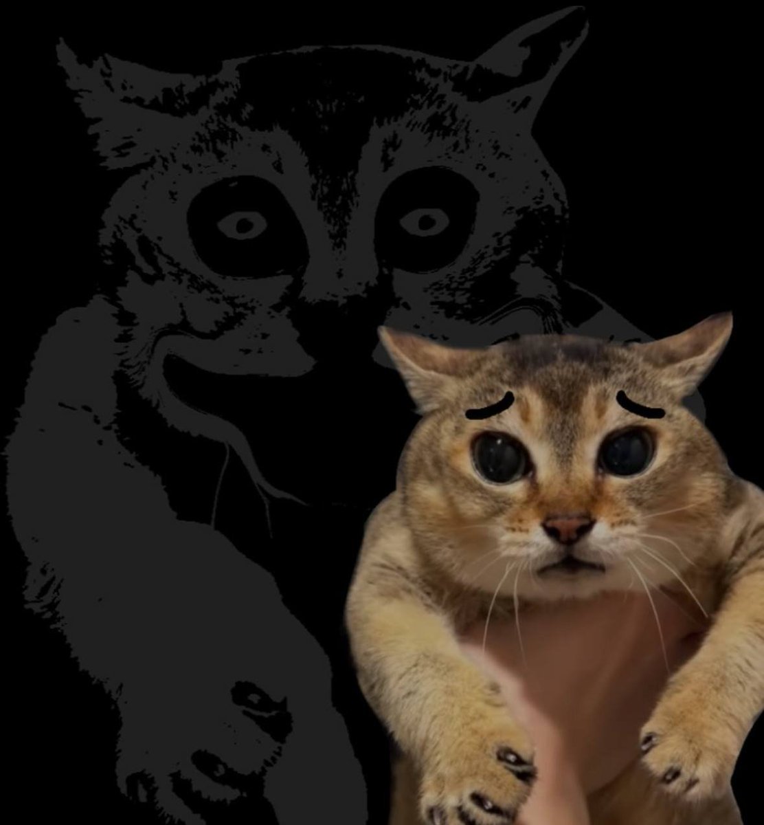 _Goldfrost9_'s tweet photo. @AbdulA56908 @maduza vro look at this cat
$MeiMei https://t.co/vR0A3icSEq