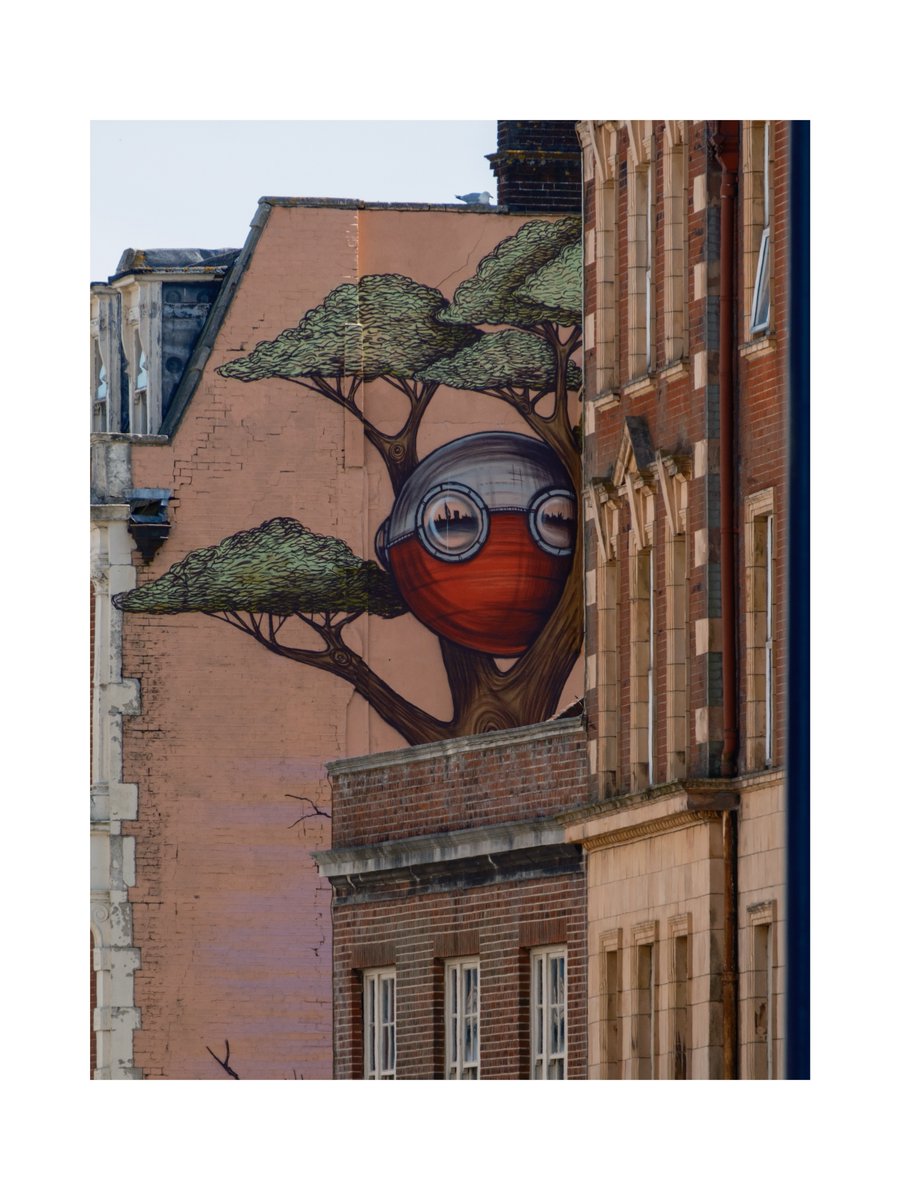 dayanna_kar's tweet photo. Tree of knowledge https://t.co/H5xo8UbbXL