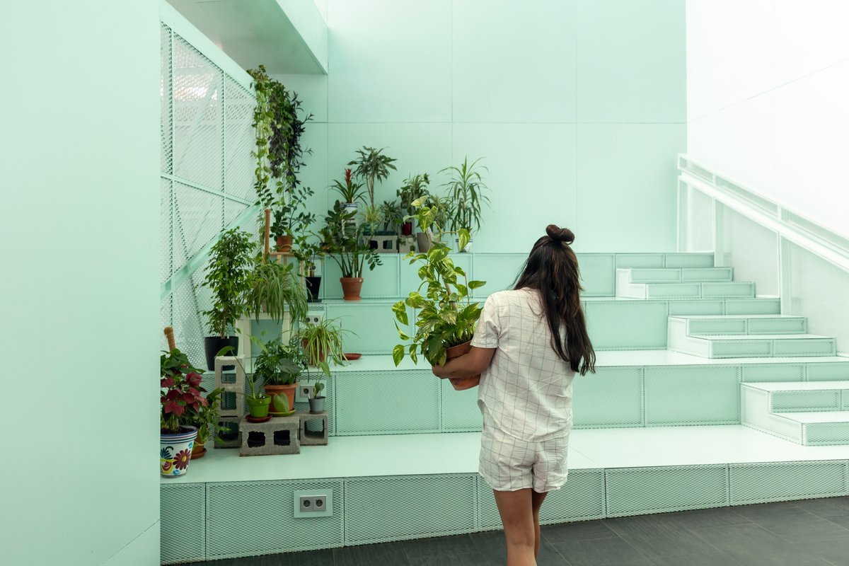 CA2M_Madrid's tweet photo. Este viernes 4 de septiembre tienes una nueva oportunidad para venir a dejar tus plantas en horario de 18:30 a 20:30.  Te las regamos mientras estás de vacaciones.
📅 Hasta el 11 de septiembre
✅Actividad gratuita con inscripción previa.
ℹ️https://t.co/rIEjOHgxma https://t.co/GFRUjZDOZq