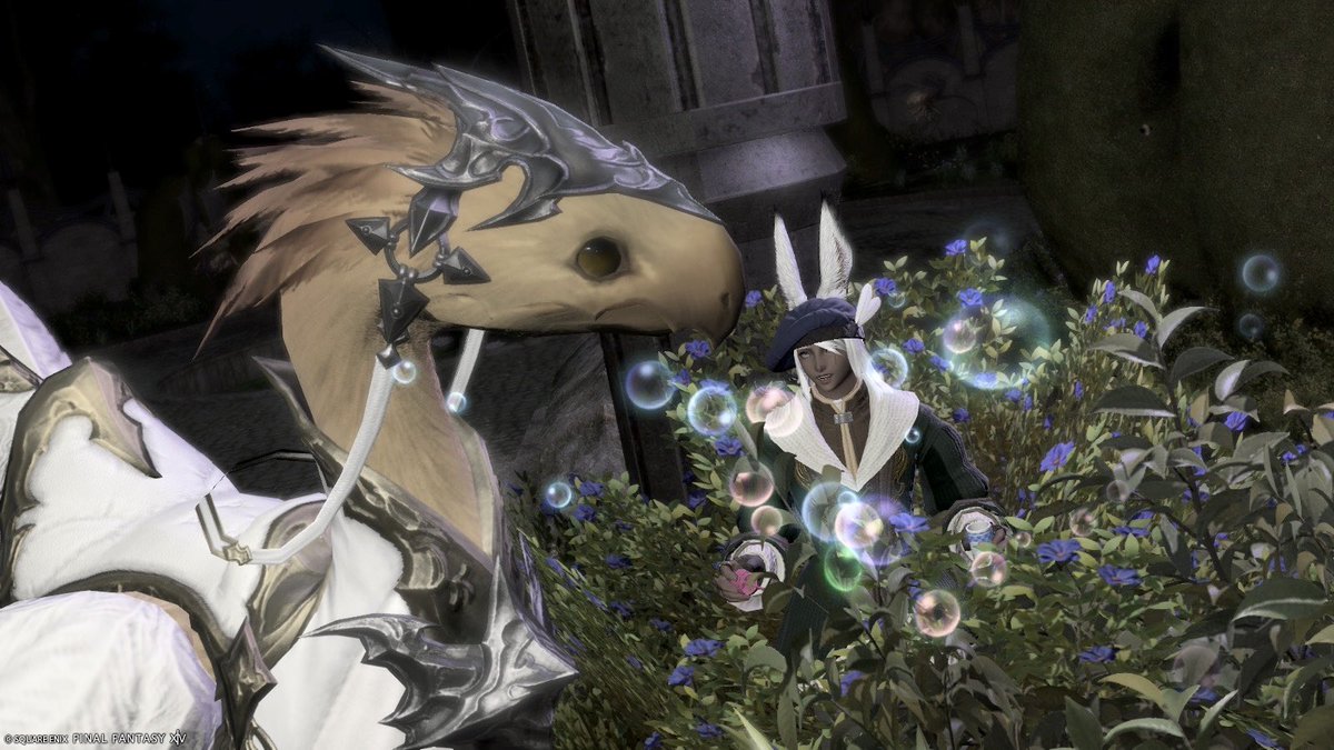 6_ff14's tweet photo. エモートとかもちまちま買ってたらセール込で2���以上課金しちゃった🫪
#FF14 #FF14SS https://t.co/9FaDznvJYW