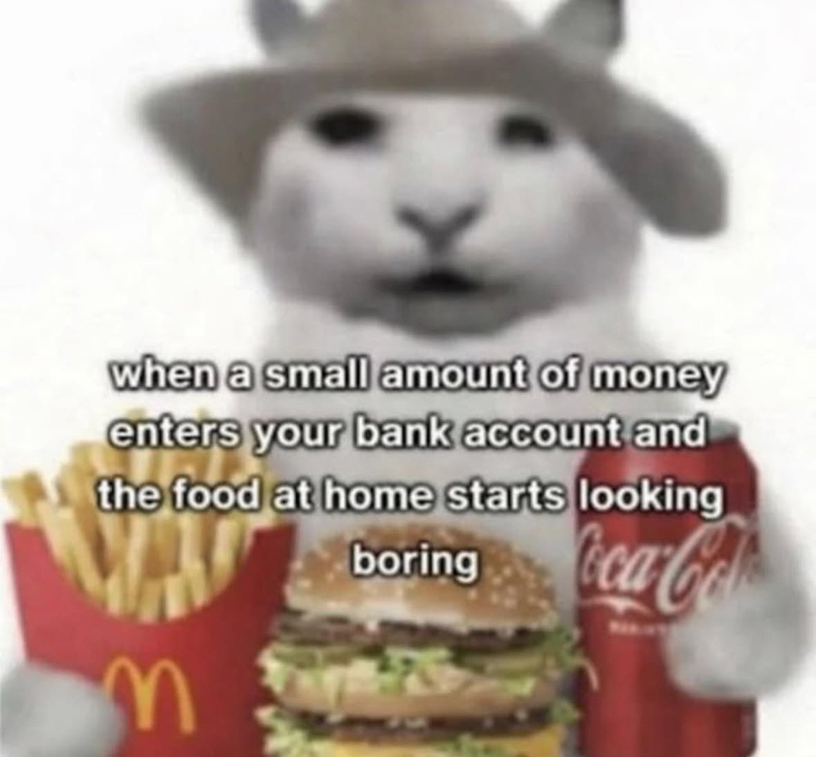 literallymecats's tweet photo. https://t.co/UoiBvqp4Jy