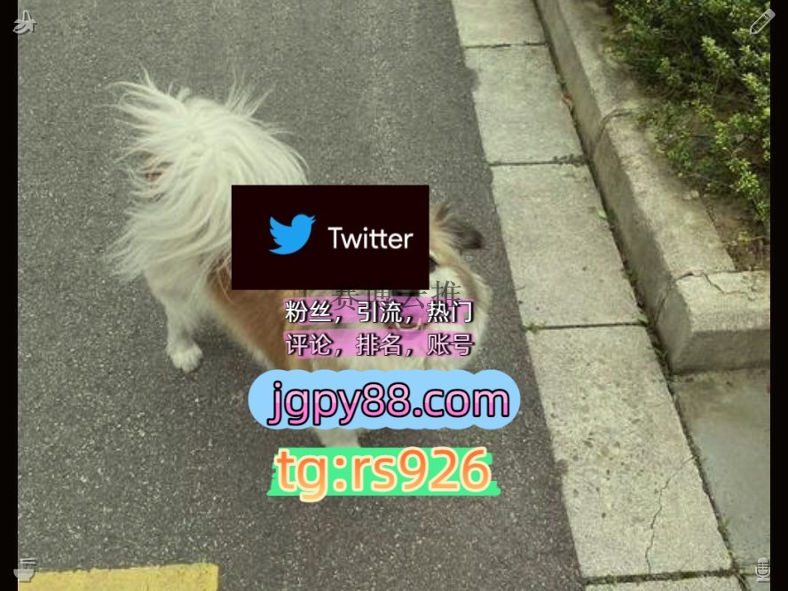 hoodrat_shit91's tweet photo. Forgive those who have hurt you deeply.
海外获客🪐主人的任务🌱上门外🍭facebook自动脚本
霸屏🪐群发私信💐海外获客🍀推特账号粉丝号深圳广州东莞佛山中山珠海
批量发帖、多账号管理、推广营销注册号围619888多账号管理、批量发帖、内容同步
推特矩阵系统、Twitter矩阵系统、X矩阵系统西宁代发 https://t.co/wRywmsi2SE
