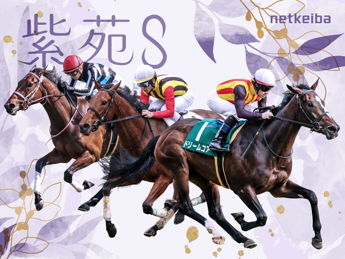 netkeiba's tweet photo. 【今週の重賞特集①】
スプリント王座へ続く重要ステップ
#セントウルステークス
https://t.co/DAOAmM4Rms

秋の訪れを告げる秋華賞トライアル
#紫苑ステークス
https://t.co/kiE7tNG8yb https://t.co/Pow2pcnwHv