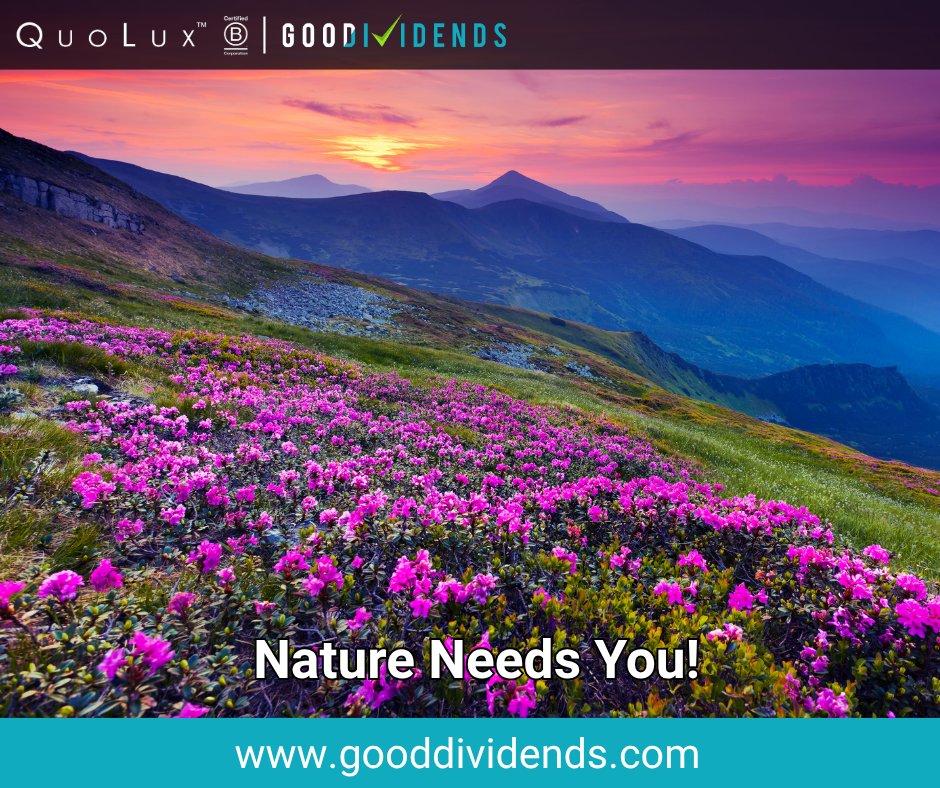 gooddividends's tweet photo. Every choice we make can help protect life on land. Plant native flowers, reduce pesticide use, buy sustainably sourced products, support local conservation projects, and give wildlife space to thrive. Your small actions can help restore nature.
#GoodDividends #SDG15 https://t.co/UgSKk5Q58O