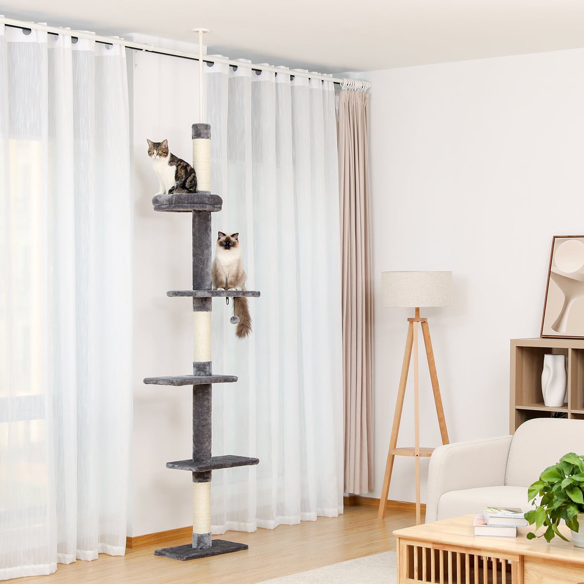 SekkoClaw's tweet photo. Slim Cat Tree (227cm): floor-to-ceiling height in a space-saving slim design — perfect for small corners. Ships from Germany with huge stock for fast delivery 🐱

https://t.co/3LQCNHXLko

#catfurniture #cattree #sekko https://t.co/yT6sSExiKp