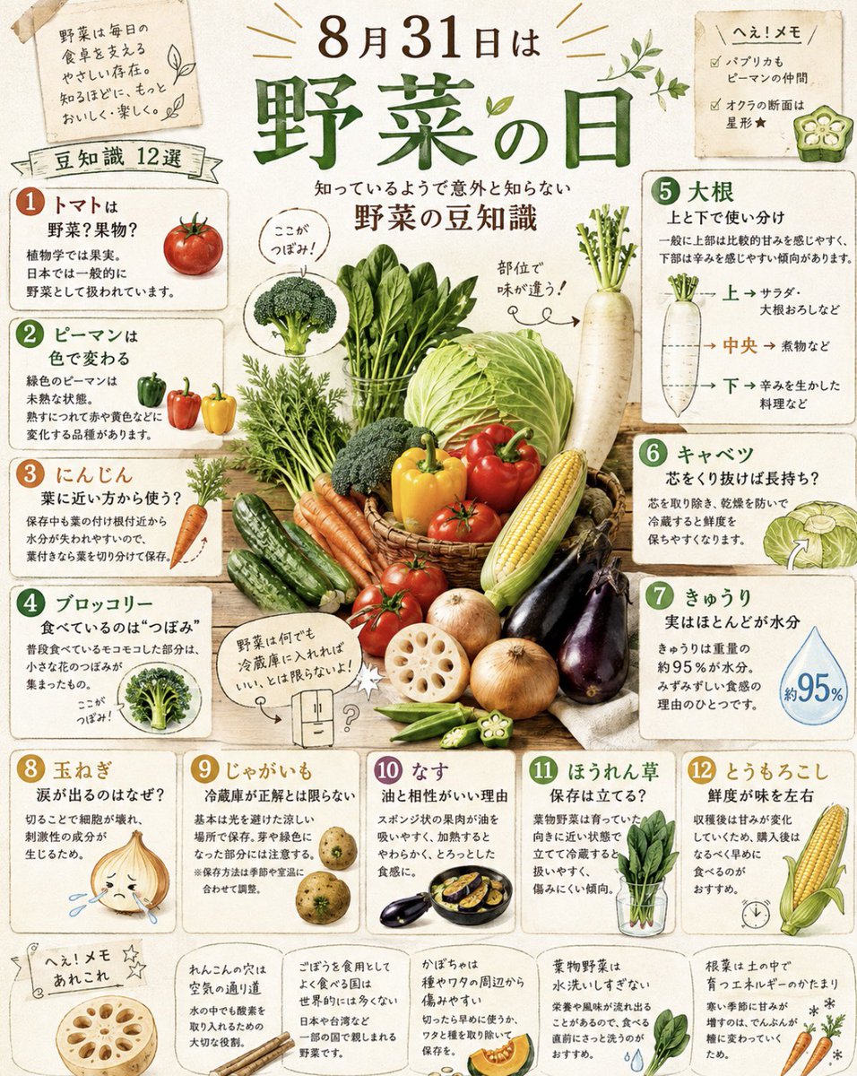 Ouchi_t_journal's tweet photo. 8月31日は「野菜の日」🥕🥦🍅

知ってるようで意外と知らない野菜のこと！ https://t.co/ja8ICgSpOj