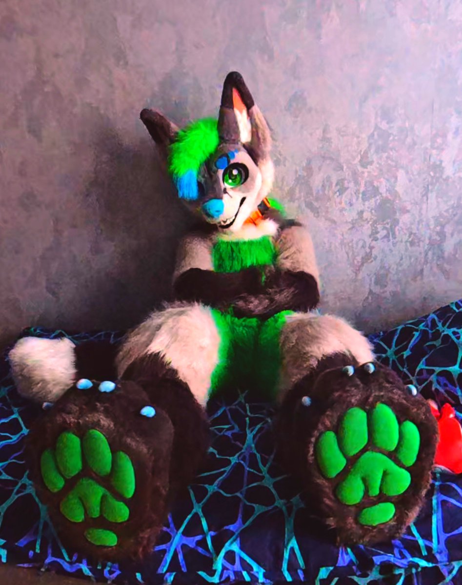 vovan_the_fox's tweet photo. Catching last day of #pawgust

#furry #fursuiting #FursuitsEveryday https://t.co/wYOcOwpqSX