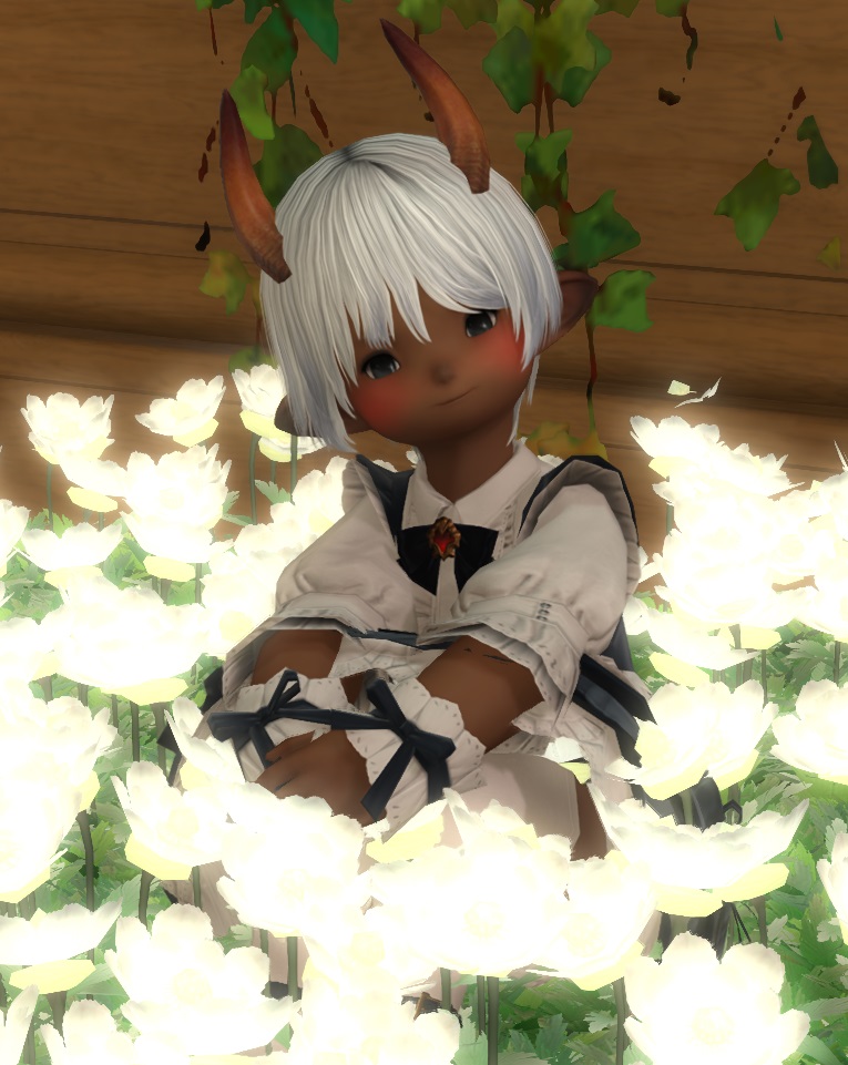 greentreeszu's tweet photo. #FF14 #ララフェル
かわいいうちの子☺️ https://t.co/4XYVFYbVJJ