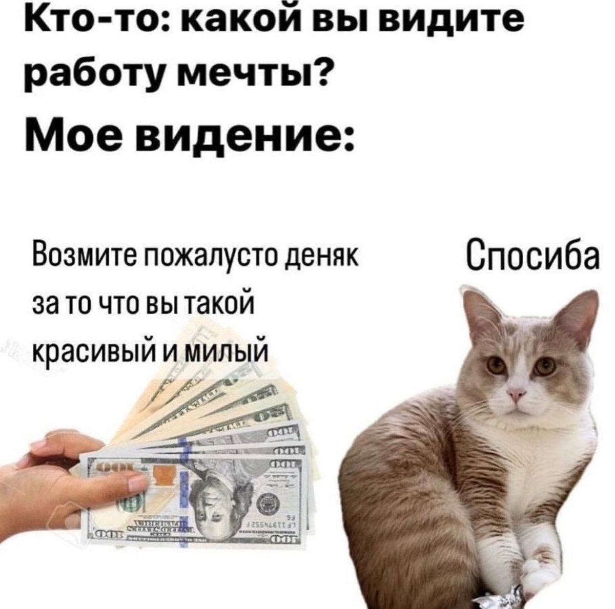 nagorizonte's tweet photo. Утро чят https://t.co/81rWWjU3lQ