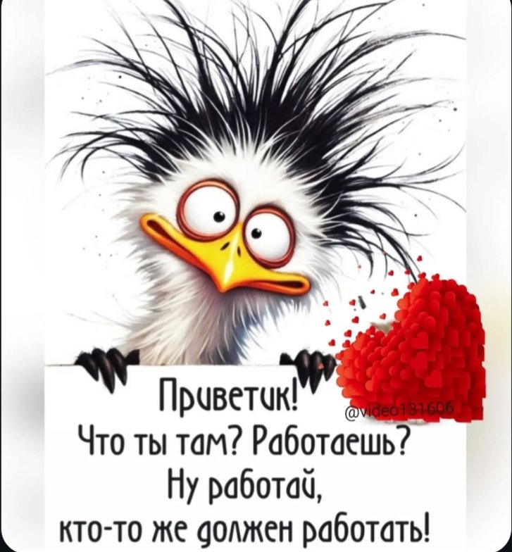 Rasha1960's tweet photo. Ну ладно...
Не буду вас отвлекать..😁😁 https://t.co/ovaGdzLknZ