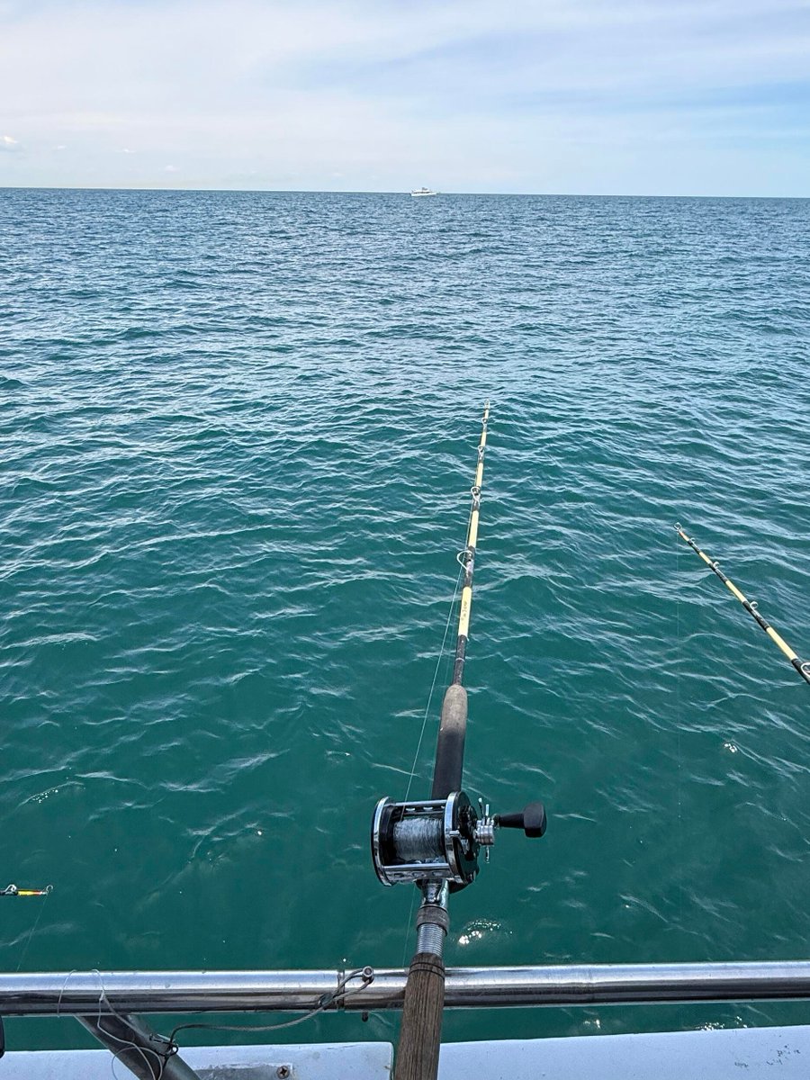 fwhhvf's tweet photo. A cute little shark! Its mom might be lurking right below, gotta get it back in the water ASAP https://t.co/gi6O4PMZEW