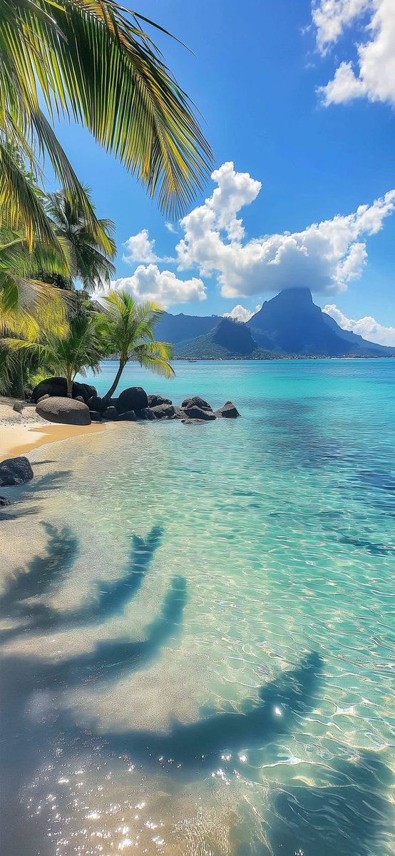 water_diaries's tweet photo. Bora Bora the Paradise in french Polynesia 🇵🇫 https://t.co/5uGcwV4AeG