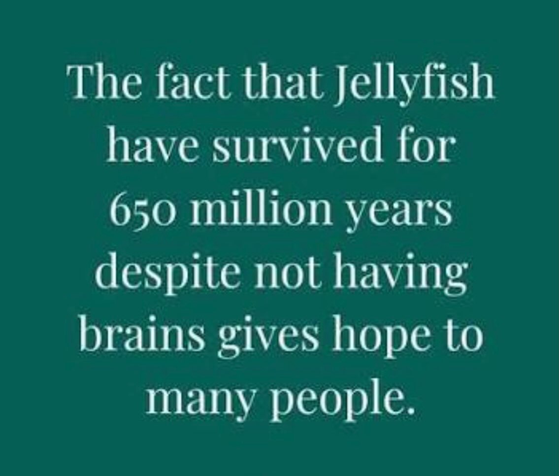 BuseCevdet's tweet photo. A few things worth thinking about... https://t.co/BZS35ZOq0Q