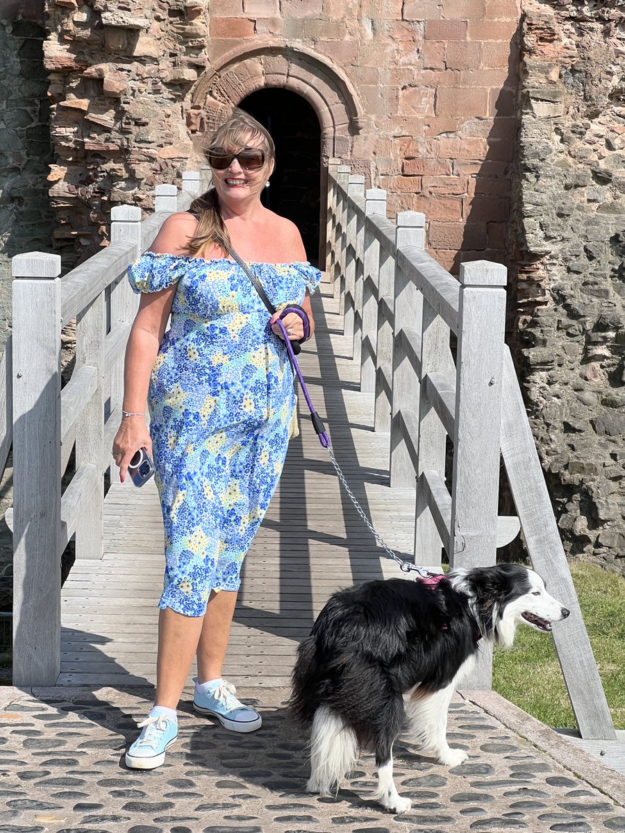 KinlochSusan's tweet photo. Tantallon castle #memories #bassrock #scotland 🏴🐶☀️🏖️ https://t.co/ISYe3cDw7r