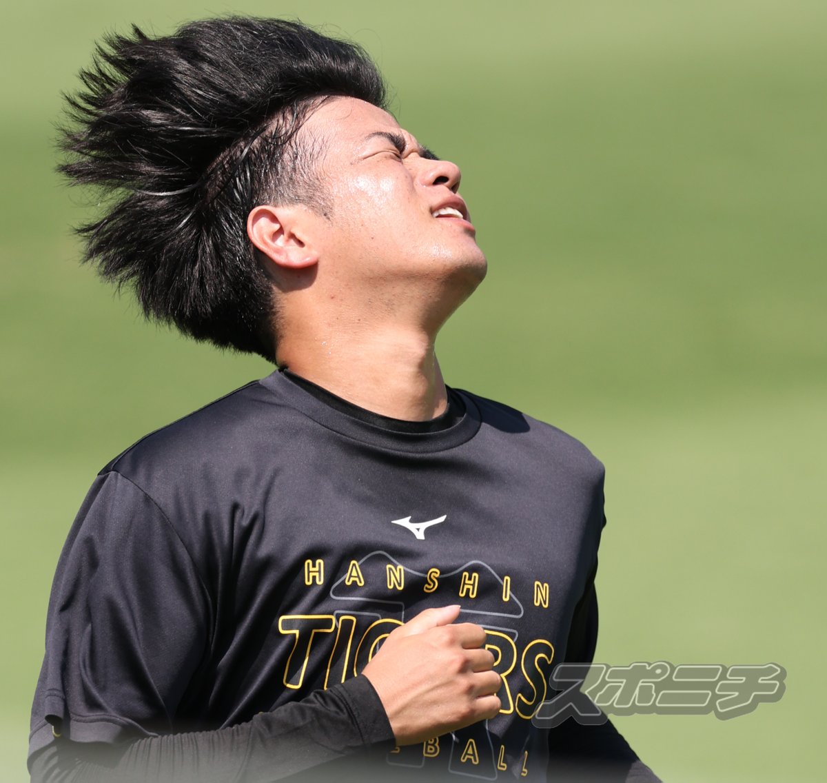 Sponichi_Tphoto's tweet photo. ランニングメニューをこなしながら「暑い！」と叫んでしまう #高橋遥人 投手 https://t.co/ZeVvEV4b5J