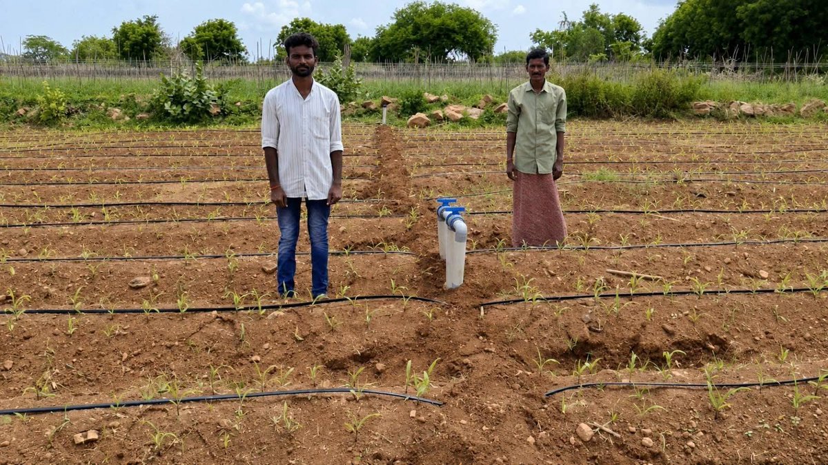 KVKHaridwar's tweet photo. Smart Irrigation, Better Water Efficiency! Atia FPO, #SriSathyaSai a #PMDDKY district #AndhraPradesh with 2,920 farmer members, is promoting drip irrigation across 180 acres, supporting efficient water use & improved crop productivity.#DDKY #DripIrrigation #PDMC, #kvk, #atari1 https://t.co/TTyp7LpUfO
