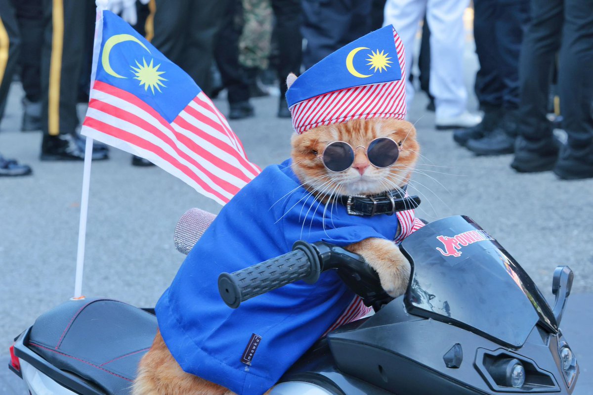 KKMPutrajaya's tweet photo. (2/2) Acara perbarisan dan perarakan pada tahun ini melibatkan 76 kontinjen, 22 kumpulan pancaragam dan 11 kereta berhias (float), dengan penglibatan 10,819 peserta yang terdiri daripada pelbagai agensi kerajaan, pasukan keselamatan, badan beruniform, syarikat berkaitan kerajaan (GLC), pelajar sekolah, institusi pengajian tinggi serta wakil masyarakat sivil. 

Buat julung kalinya, sambutan turut disertai Askar Timbalan Setia Negeri Johor, kontinjen Sukan SEA 2027 dan kontinjen kluster Kelestarian Ekonomi Jingga.

Sambutan dimeriahkan dengan persembahan skuadron pesawat pejuang, pengangkut dan helikopter oleh Tentera Udara Diraja Malaysia (TUDM). Persembahan penutupan “Rentak MADANI, Paluan Tradisi” pula menghimpunkan 2,350 peserta gabungan Kumpulan Kesenian Jabatan Kebudayaan dan Kesenian Negara (JKKN), PERMATA Seni Tari, pelajar Kementerian Pendidikan (KPM), agensi dan jabatan kerajaan, syarikat seni serta badan bukan kerajaan (NGO) seni dan budaya. Turut membuat persembahan, penyanyi terkenal tanah air, Faizal Tahir yang menyanyikan lagu tema rasmi HKHM 2026, "Aku Berjanji".

Semangat patriotisme dan kecintaan terhadap negara terus disemarakkan apabila Kementerian Kesihatan Malaysia (KKM) turut menyertai Perarakan Hari Kebangsaan menerusi Perbarisan Kontinjen Kesejahteraan yang disertai seramai 200 peserta. Kontinjen KKM terdiri daripada warga Ibu Pejabat KKM, Institut Latihan Kementerian Kesihatan Malaysia (ILKKM) Sungai Buloh, ILKKM Kuala Lumpur serta ProtectHealth dan diketuai oleh YBrs. Dr. Ismuni bin Bohari, Timbalan Ketua Pengarah Kesihatan (Kesihatan Awam) KKM.

Lebih istimewa, kontinjen KKM tampil membawa mesej “Jom Saring Kesihatan” dan “Sihat Itu Saya”, diserikan dengan kehadiran dua maskot “Malaysia Sihat, Sihat Itu Saya” yang mencuri perhatian sepanjang perarakan. Penyertaan ini bukan sekadar menyemarakkan sambutan Hari Kebangsaan, malah menjadi platform untuk menyampaikan mesej bahawa rakyat yang sihat merupakan asas kepada sebuah negara yang kuat, produktif dan sejahtera.

Turut hadir YBhg. Datuk Seri Hj. Hasnol Zam Zam bin Hj. Ahmad, Ketua Setiausaha, KKM; YBhg. Datuk Dr Mahathar bin Abd Wahab, Ketua Pengarah Kesihatan dan Pengurusan Kanan Kementerian Kesihatan Malaysia.