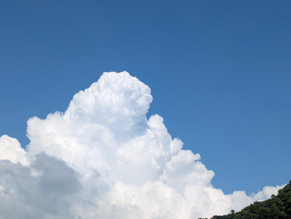 yzsw58's tweet photo. 8月もあっという間に消え去った感覚です。
その中でも一応、毎年恒例の夏休みの宿題中1編と、大逆転裁判2と、刀剣乱舞無双はクリアしたので💮
気乗りのしない研修続きで、しかも即時文章構築し提出！みたいなのが続いていて、ことさら自分の文章構築力の無さに絶望する夏でした(まだまだ続く) https://t.co/rhQXMv4IkR