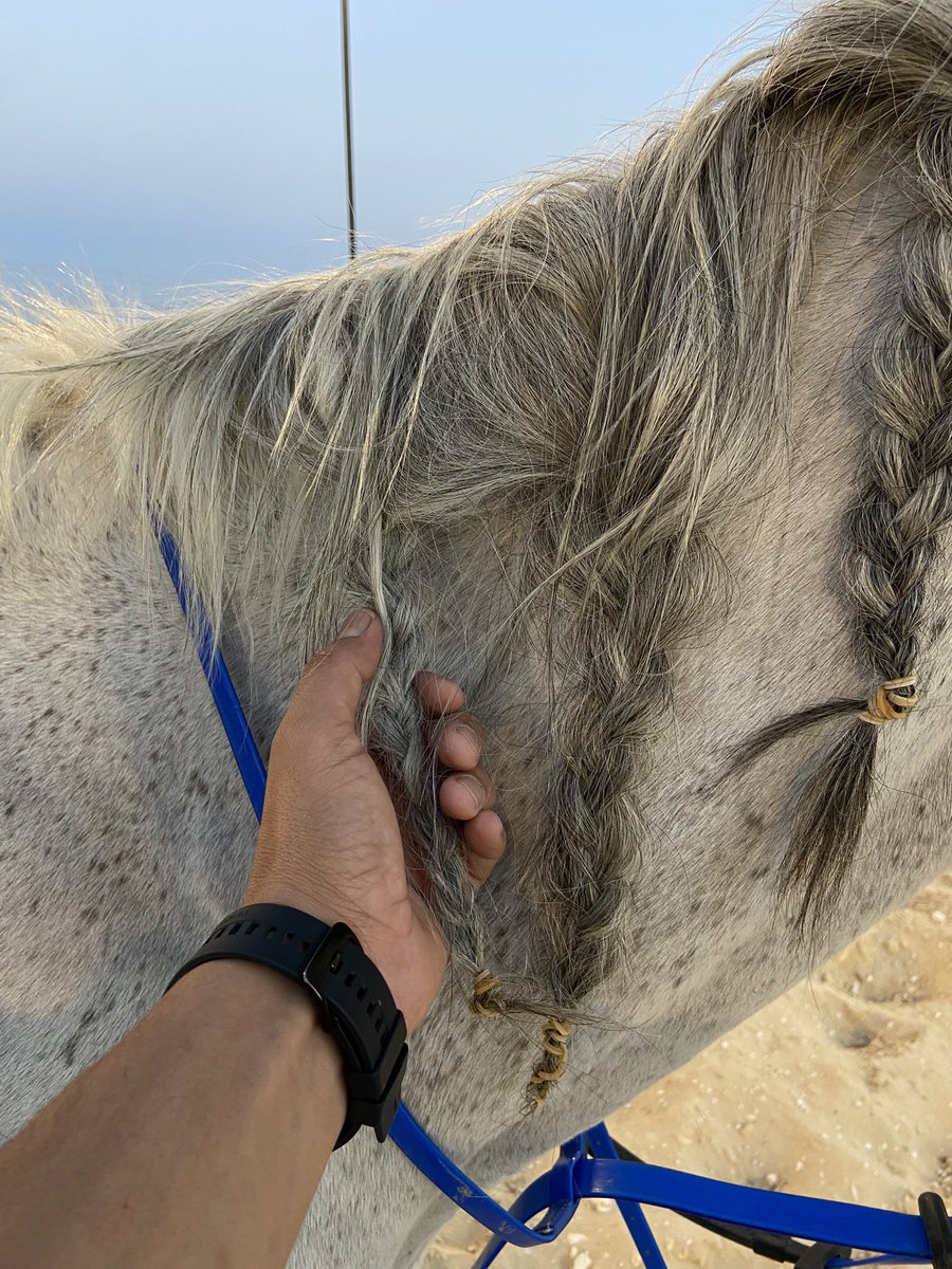 laith_alhammad's tweet photo. الحقيقه إن بكل الأوقات بهاكِ ماهو عادي .🤍 https://t.co/ANHFphRD1e