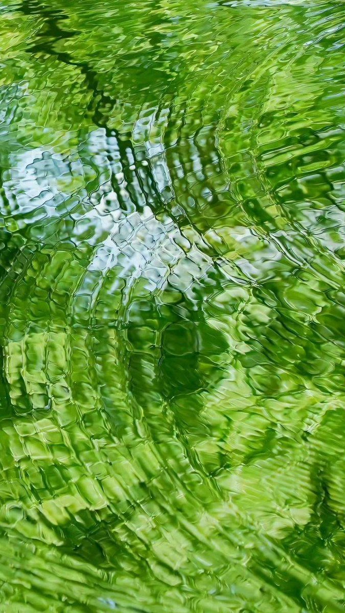 artindetails's tweet photo. shades of green https://t.co/QX49f99UK5