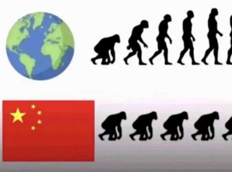 LGBTQ666's tweet photo. @k9_lilian @kamakura_surfy @samguk_zip chiggaz are just like cockroaches or virus.
you just try to take over anything and everything

chinkks are enemy of humanity https://t.co/1fcUQ8TcT5