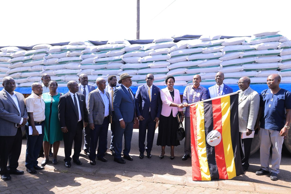 GovUganda's tweet photo. 𝐆𝐨𝐯𝐞𝐫𝐧𝐦𝐞𝐧𝐭 𝐋𝐚𝐮𝐧𝐜𝐡𝐞𝐬 𝐅𝐫𝐞𝐞 𝐅𝐞𝐫𝐭𝐢𝐥𝐢𝐬𝐞𝐫 𝐃𝐢𝐬𝐭𝐫𝐢𝐛𝐮𝐭𝐢𝐨𝐧 𝐭𝐨 𝐁𝐨𝐨𝐬𝐭 𝐅𝐚𝐫𝐦𝐞𝐫𝐬’ 𝐏𝐫𝐨𝐝𝐮𝐜𝐭𝐢𝐯𝐢𝐭𝐲

Government has launched the distribution of 173,913 bags of fertiliser to targeted farmers, particularly those engaged in strategic agricultural enterprises including coffee, tea and cocoa, as part of efforts to restore soil fertility, increase productivity and improve household incomes.

The fertiliser, procured by the Ministry of Agriculture, Animal Industry and Fisheries (MAAIF) from ITRACOM Fertilizers Uganda, will be distributed to eligible farmers at no cost under a Presidential Directive.

Speaking at the launch at MAAIF Headquarters in Entebbe, Minister of Agriculture, Animal Industry and Fisheries Hon. @FrankTumwebazek  said the intervention is part of Government’s drive to promote precision and evidence-based farming.

“Farmers need to apply the right input, in the right quantity and at the right time if we are to achieve higher productivity and better incomes,” Hon. Tumwebaze said.

MAAIF Permanent Secretary Maj. Gen. David Kasura-Kyomukama said Uganda’s low fertiliser use currently estimated at 2–3 kilogrammes per hectare and declining soil fertility continue to constrain agricultural productivity.

He assured farmers that the distribution will be guided by speed, proximity and accountability, with the fertiliser clearly marked “Government of Uganda – Not for Sale.”

“There will be no fees, no charges and no diversion. These fertilisers are a Government intervention and must reach the farmers for whom they are intended,” he said.

The State Minister for Agriculture, Hon. @DesireMuhooza , said the programme demonstrates Government’s commitment to supporting farmers in strategic value chains and encouraged beneficiaries to work closely with extension workers to ensure proper application.

The launch was also attended by the Minister of State for Fisheries, senior MAAIF officials and other stakeholders.

ITRACOM Fertilizers Uganda, represented by Mr. Bigirimana, reaffirmed its commitment to supporting the distribution process and equipping farmers with knowledge on the proper use of fertiliser.

The intervention is expected to contribute to restoring soil fertility, raising agricultural productivity, increasing farmers’ incomes and strengthening Uganda’s food and nutrition security.
#OpenGovUg
