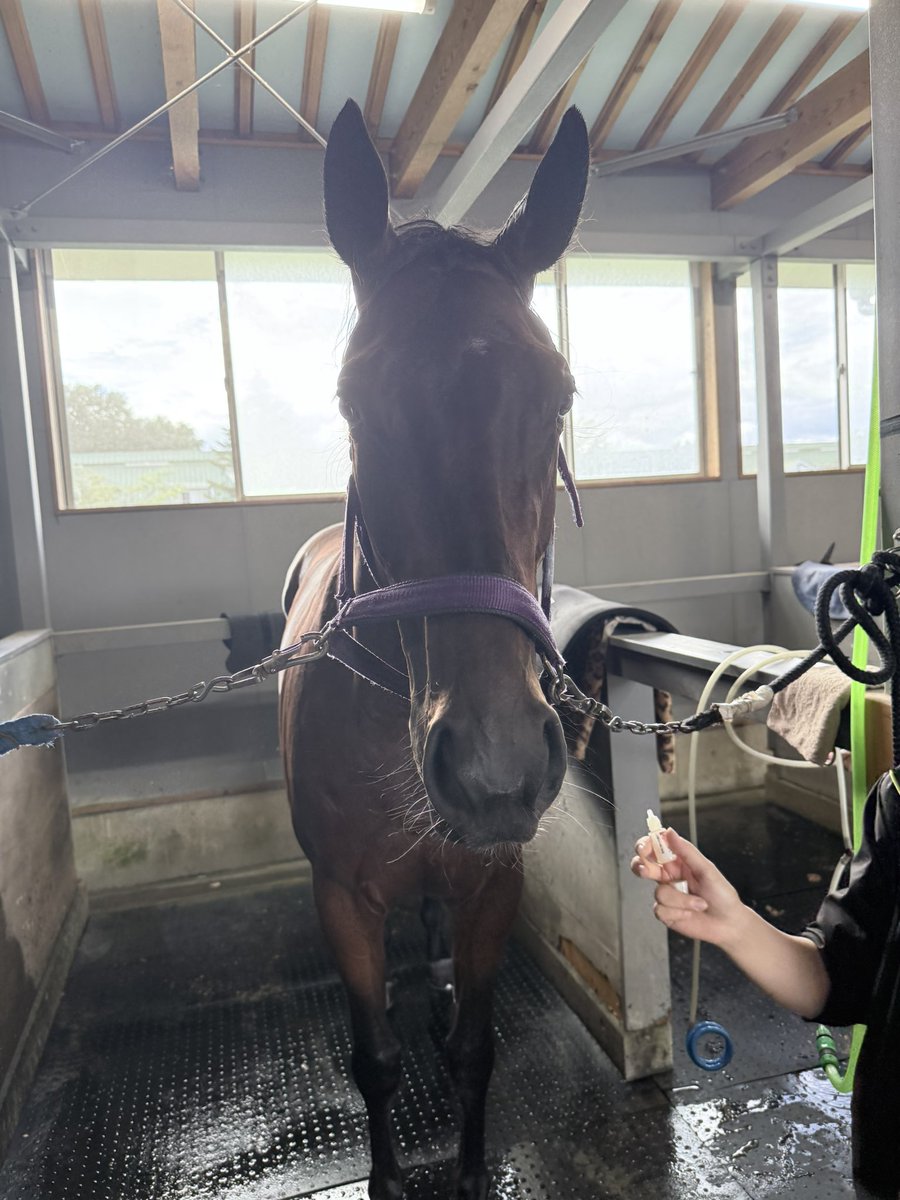 01Mogul's tweet photo. アンデルストープ初勝利✨
1週前から少し気負いすぎの感があったからどうかなっと思ってたけど最後ハマってくれて良かった😊
政さん、ありがとうございました！！
アンデル次も頑張ろうね💪
#アンデルストープ
#橘友和厩舎
#岩手競馬 https://t.co/wvqZ8ZYubX