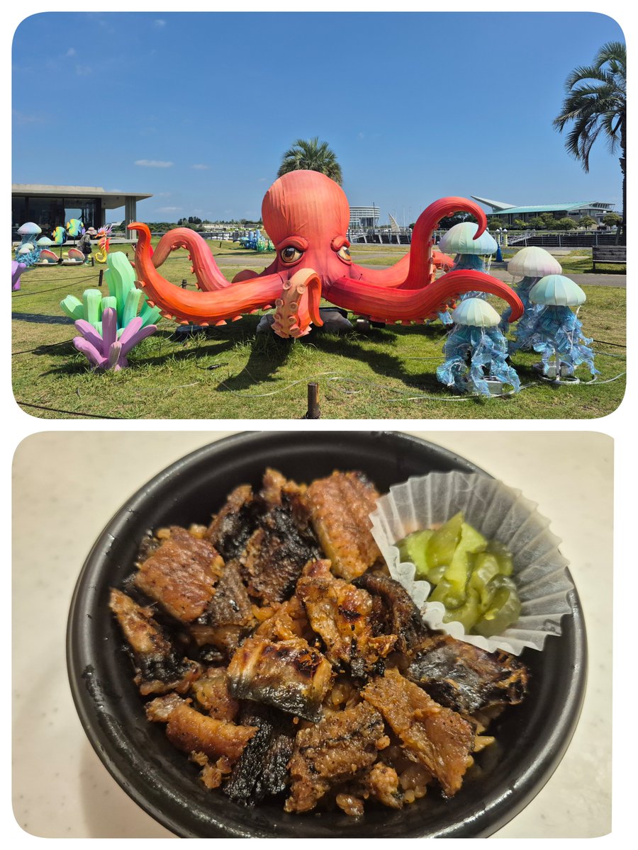 miekoeko's tweet photo. ついでに蒲郡まで～
海の生物のオブジェ、できとった😄
私の夕飯、うなぎ刻み丼
さかな市場も寄った♪
某マーケットでは950円だったのに、��ケダヤさんは550円！しかも焼きたて🦑
あちこち行きまくって、大満足😆 https://t.co/DRedYzpGFK