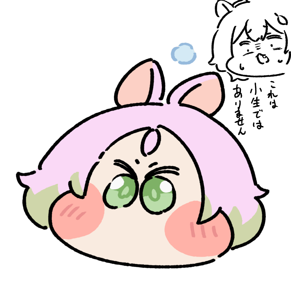 rarara_max's tweet photo. 偽モモ https://t.co/RYFumOt6Lf