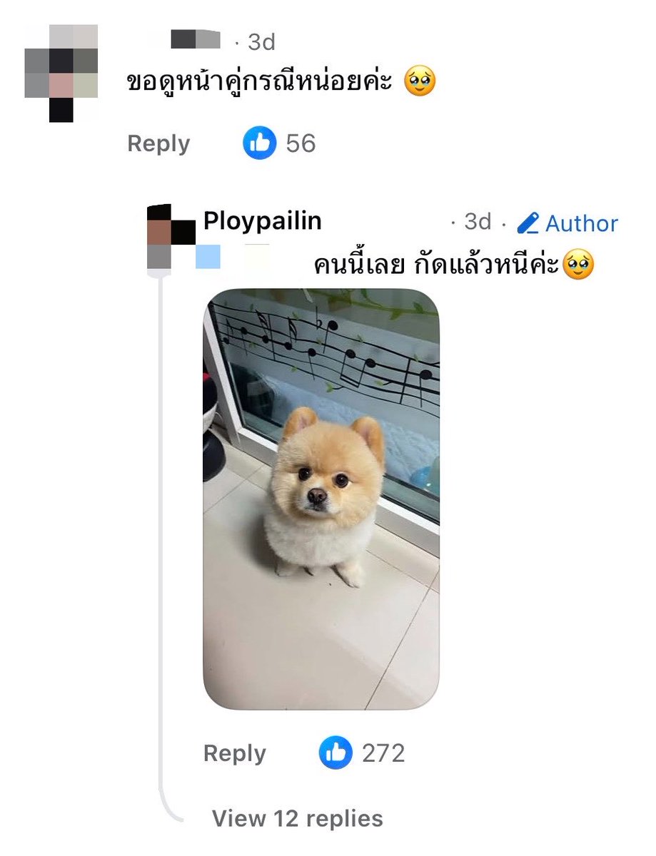 chyoumayknow's tweet photo. เจ้าของ tesla มาปรึกษาโดนหมากัดประตูรถแล้วหนี 🥹

(แต่ถ้าเปนหมาเรากัด คู่กรณีของเรา ก็คือเรา เหรอ ?-?) https://t.co/Fc0Dy69JG4