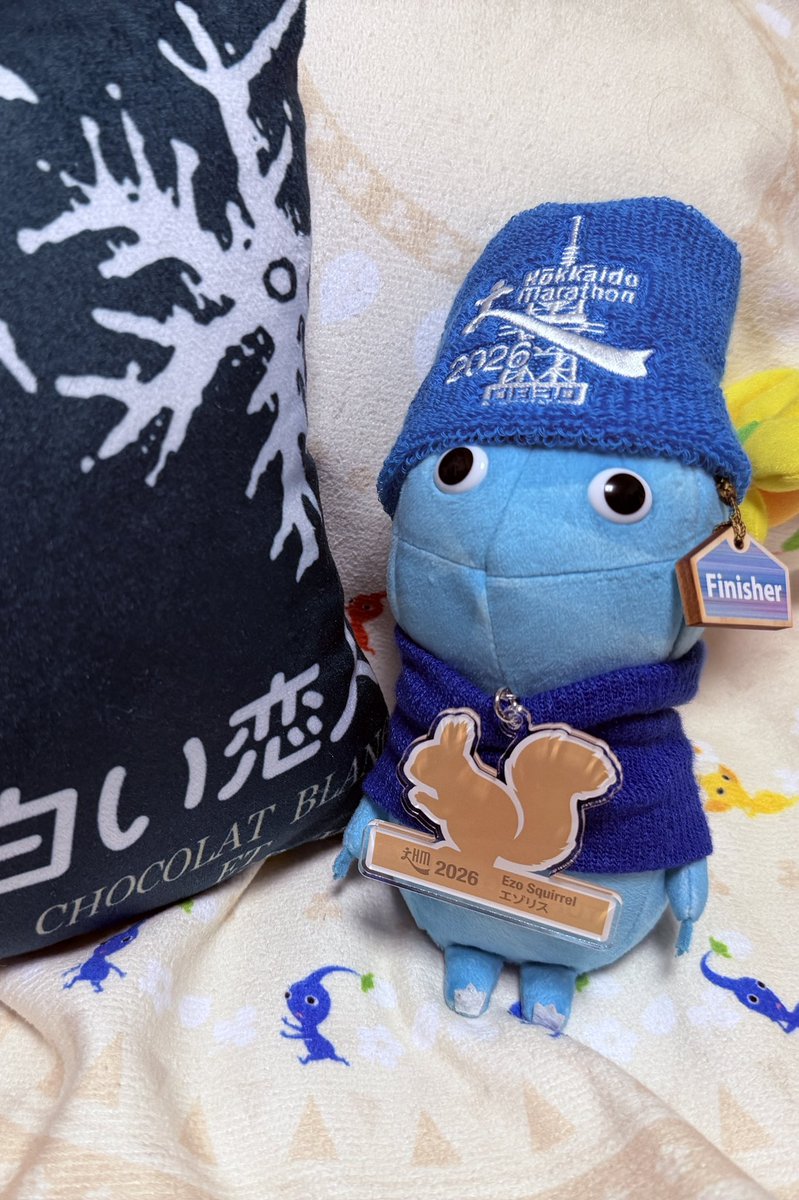 tw_kinakomochi's tweet photo. きゅっ❤️🧊
#北海道マラソン2026
#ピクミンぬい撮り https://t.co/I8DeAxyz6B