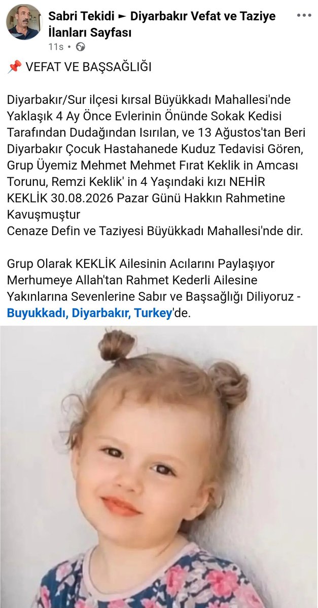 HemRazi1l111l1l's tweet photo. Ülkede kuduzdan 4 yaşında bir çocuk ölüyor. Ne sağlık bakanlığı ne tarım bakanlığı açıklama yapıyor. 

Ben mi yapacağım resmi açıklamıyı?

@TCTarim @saglikbakanligi https://t.co/4KzeI9EOnK
