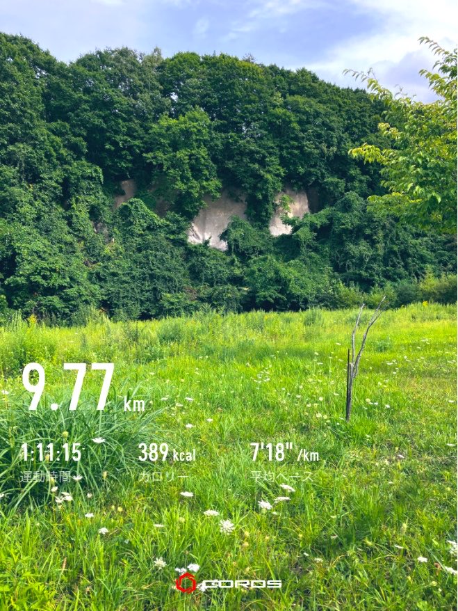 ms_itua's tweet photo. 午後ジョグ🩴

また首まわりがガチガチに固まらないように走っておきました
下半身のストレッチも忘れないようにしないと https://t.co/j7FY2lcxcR