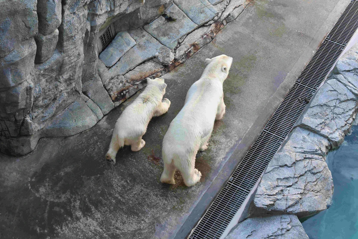 当時のメディア報道・掲載写真