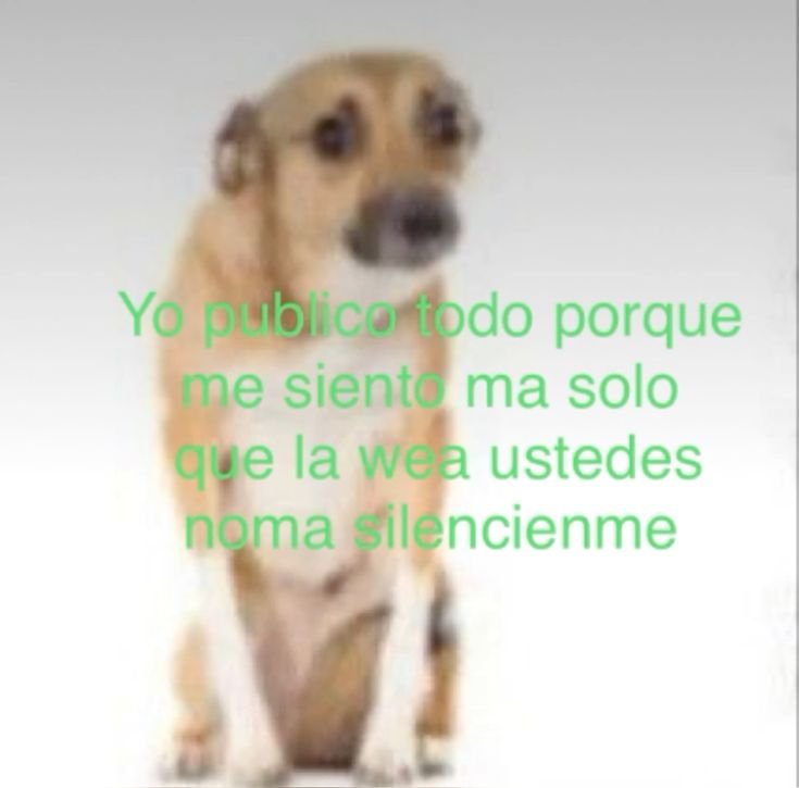 chesquitoc_p5's tweet photo. Y hablo de q quiero novia sabiendo q soy pésima para expresarme y me da miedo amar de más y q me dejen 
Miren cómo me proyecto 
#wlw https://t.co/7q9GQ0nThG